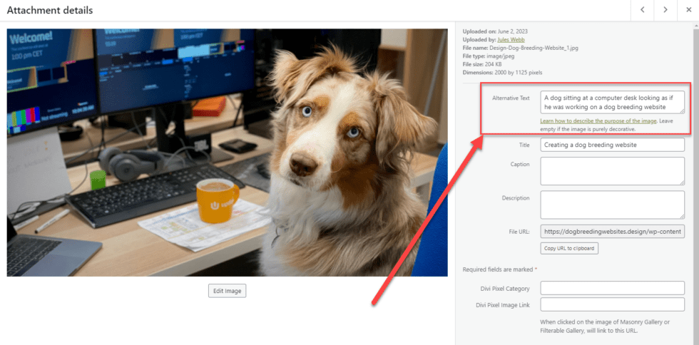 Screenshot of Alt Text field and settings within the Media Manger